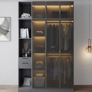 Tủ áo cánh kính  Deco DTK81